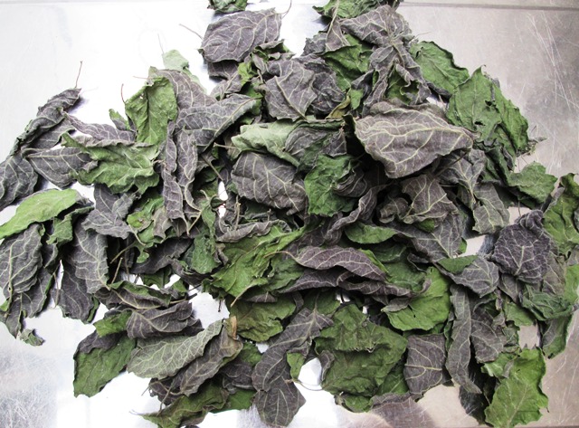 Lá Mơ Tím Hong gió Khô