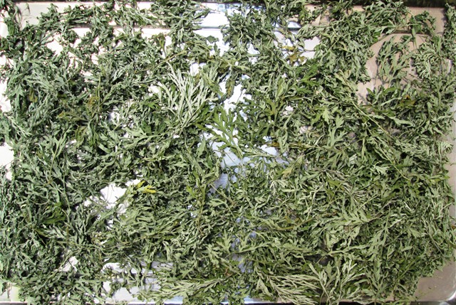 Lá Ngải Cứu Khô Hong Gió Cao Cấp